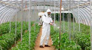 Equipamiento agricola crece tu equipamiento y genera mayor rendimiento,