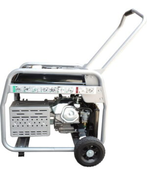 Generador Eléctrico a gasolina POWER CAT PWC10800E