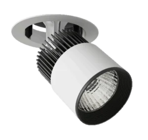 Proyector Led C30 E 45°30w L5672-1I9 Magg