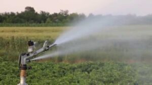 Aspersor para riego agrícola