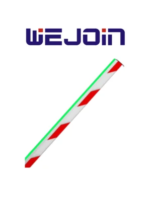 Brazo recto octagonal 6 metros LED WEJOIN