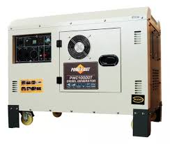 Generador Eléctrico Bifásico Power Cat PWC10000T