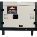 Generador Eléctrico Bifásico Power Cat PWC18000T