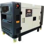 Generador Eléctrico Bifásico Power Cat PWC22000T